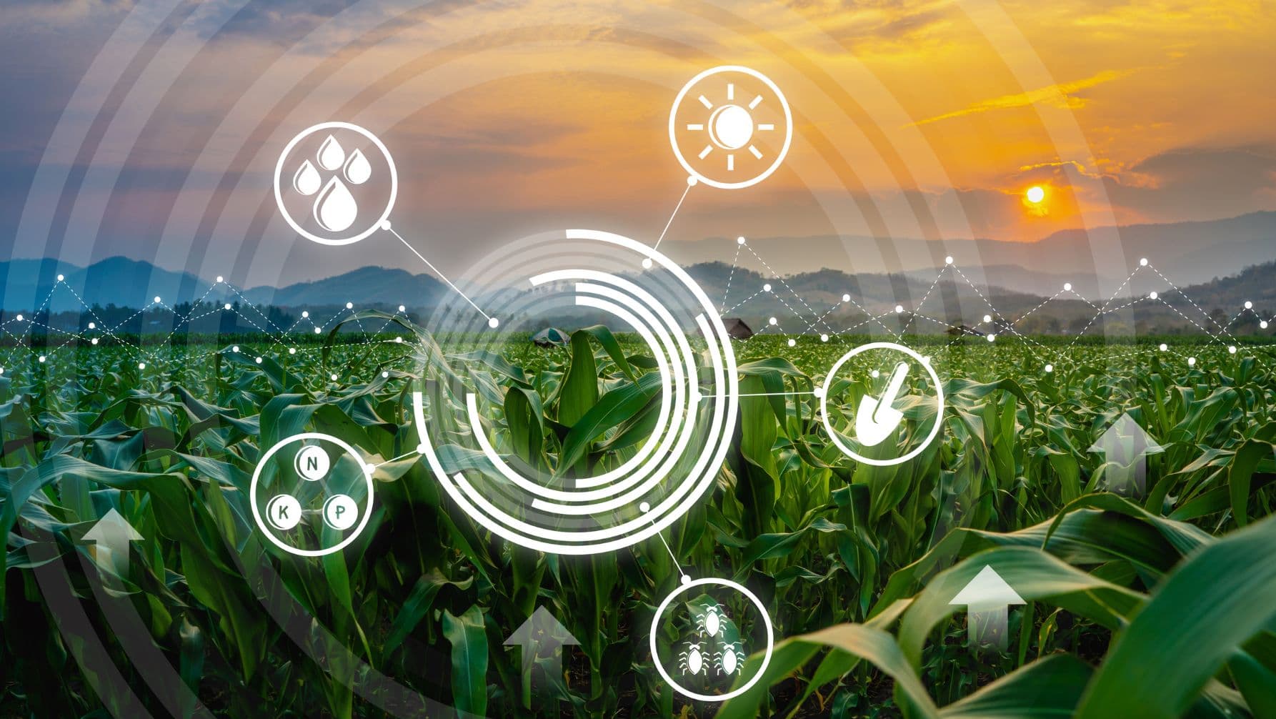 Illustration of AI and ML applications in agriculture, including production monitoring, food safety, greenhouse automation, and resource optimization